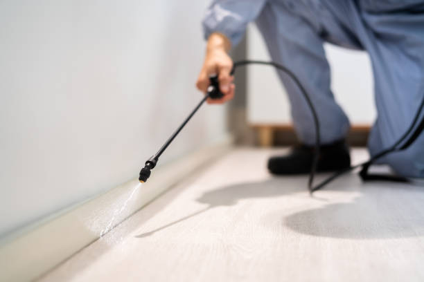 Licensed Termite Control service in Rantoul, IL - Nex Pest Control