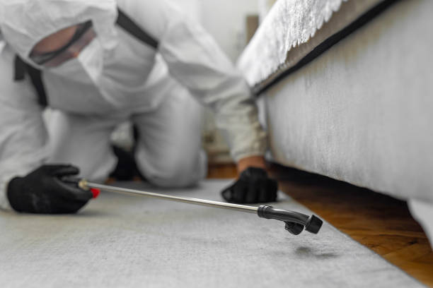 Professional Termite Control technician working in Rantoul, IL