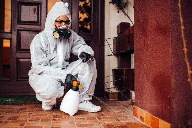 Reliable Termite Control contractor in Rantoul, IL by Nex Pest Control