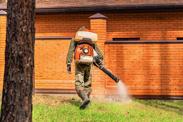 Top rated local Termite Control specialists in Rantoul, IL